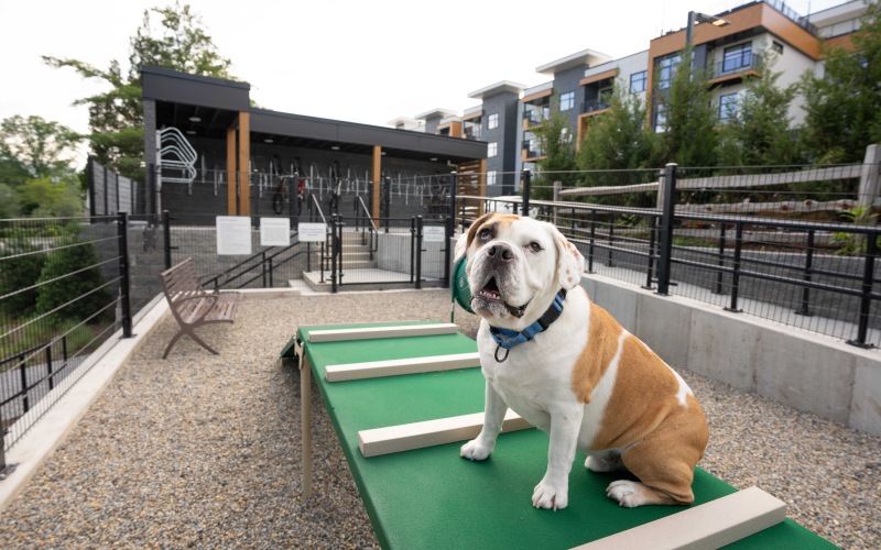Pet Park